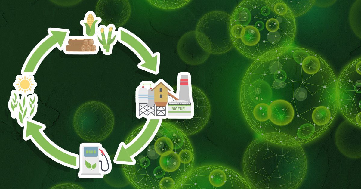 biofuel to reduce carbon footprint